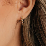 Charlotte CZ Hoops (Gold)